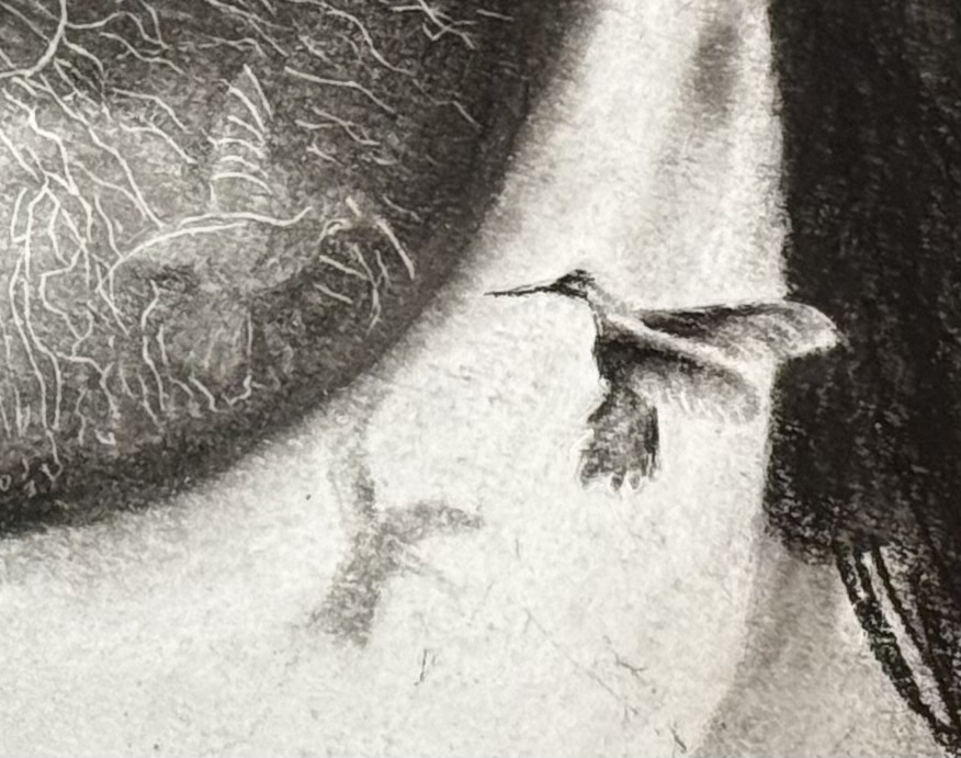 Detailopname van de kolibrie in de tekening, met zijn schaduw en spiegeling in het oogvocht